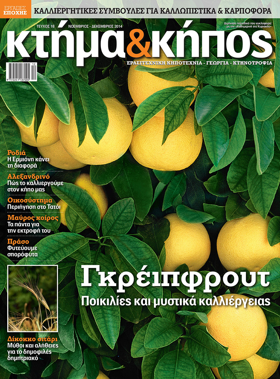 cover--2