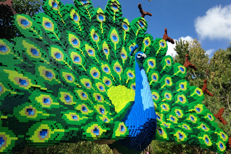 peacock-lego