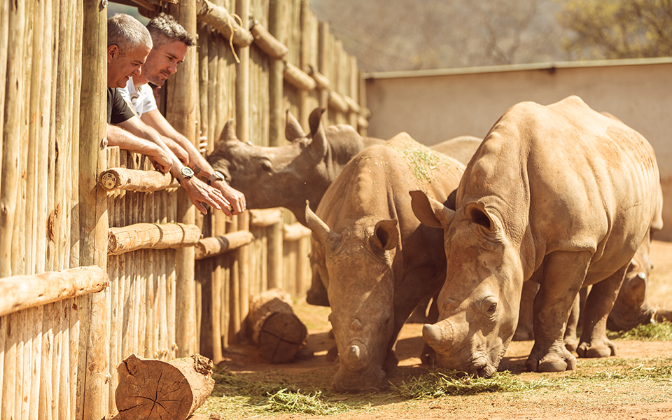 care-for-wild-rhino-sanctuary-2