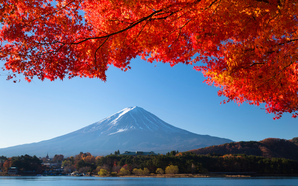 mount-fuji-in-autumn1