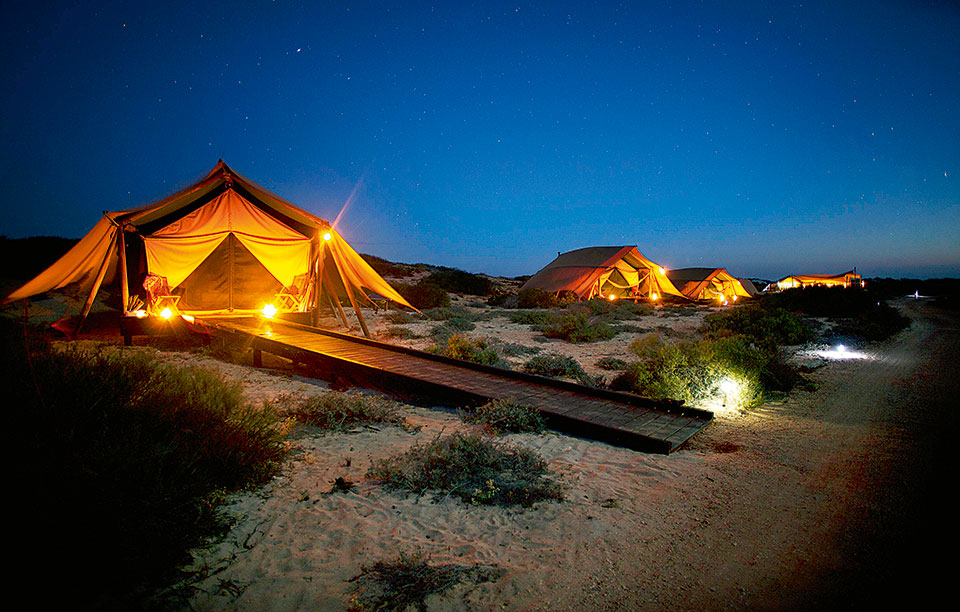 tents-at-night