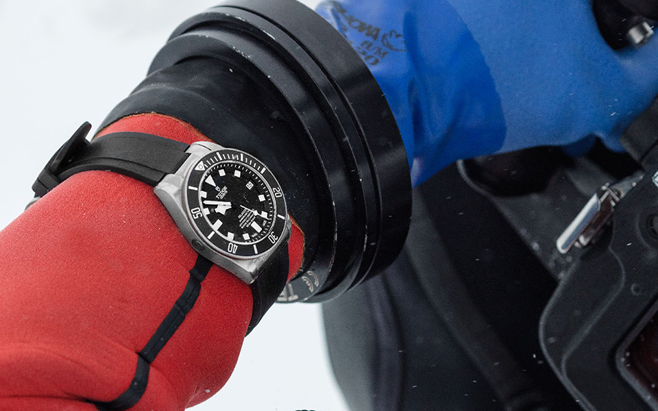 ice-diving-with-pelagos-9