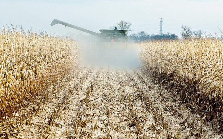 Δυνατότητα απαγόρευσης μονομερώς της καλλιέργειας ΓΤΟ αποκτούν τα κράτη-μέλη της Ε.Ε.