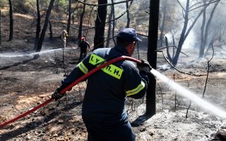 Από 1ης Ιανουαρίου 2014 ώς και 31 Ιουλίου 2014 καταγράφηκαν συνολικά 3.846 ενάρξεις δασικών και αγροτοδασικών πυρκαγιών σε όλη τη χώρα. Το αντίστοιχο διάστημα πέρυσι είχαν εκδηλωθεί 5.066.