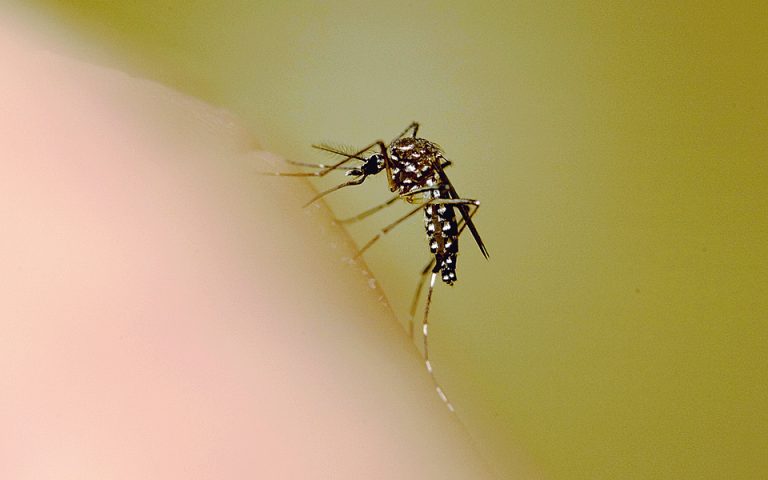Διάγνωση ελονοσίας με αντιπυραυλική τεχνολογία