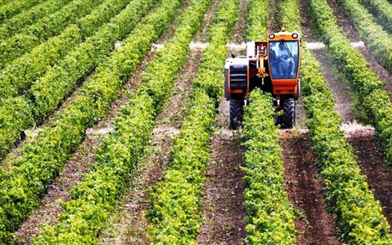 ΥΠΑΑΤ: Πριμ 240 εκατ. ευρώ για 16.000 νέους αγρότες