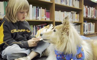 Τα σκυλιά μπορούν να γίνουν οι φύλακες-άγγελοι των μαθητών, όπως δείχνει το πρωτοποριακό πρόγραμμα που εφαρμόζεται στο σχολείο Καλέ στο Ουιπάνι της Νέας Υερσέης, στις ΗΠΑ.