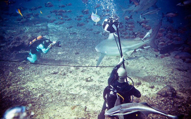 «Παράτησε» τη Ριάνα για τα σαγόνια του καρχαρία