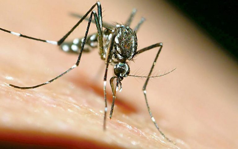 Υπ. Υγείας: Κανένας λόγος ανησυχίας για επιδημία ελονοσίας