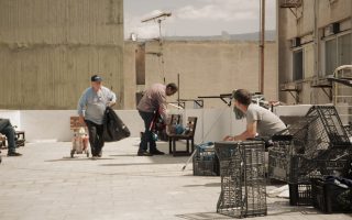 Στην ταινία «Ευριπίδου 14» ο σκηνοθέτης Μιχάλης Δημητρίου καταγράφει την προσπάθεια του Κώστα και της Σοφίας να βοηθήσουν τους άστεγους της Αθήνας.