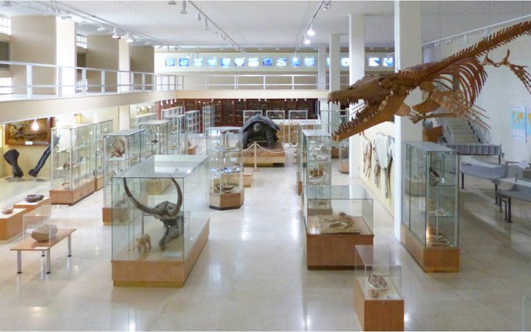 Τα άγνωστα μουσεία του Πανεπιστημίου Αθηνών | Η ΚΑΘΗΜΕΡΙΝΗ