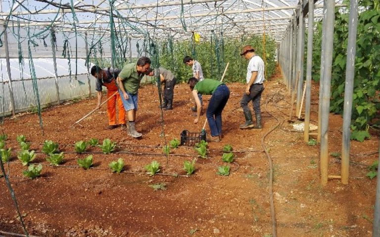 Ευκαιρίες και χαμόγελα στον «Κήπο της Λυσούς» στην Καλαμάτα