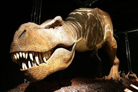 Διπλά άτυχοι οι δεινόσαυροι: εάν ο αστεροειδής είχε χτυπήσει αλλού, θα κυριαρχούσαν ακόμη στη Γη