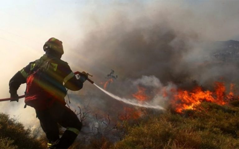 Πυρκαγιά σε δύσβατη χαράδρα στα Χανιά