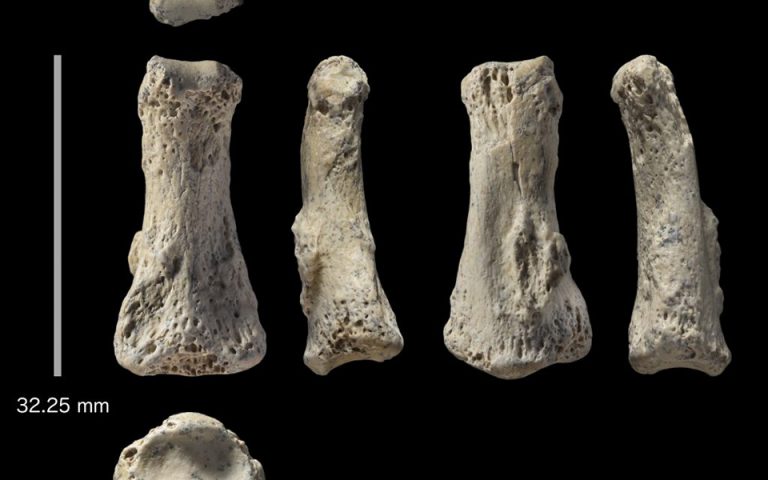 Ανακαλύφθηκε απολίθωμα του Homo sapiens ηλικίας 90.000 ετών στη Σαουδική Αραβία