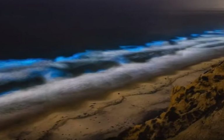 Το εντυπωσιακό φαινόμενο που δίνει στις ακτές της Καλιφόρνια μια απόκοσμη μπλε λάμψη (βίντεο)