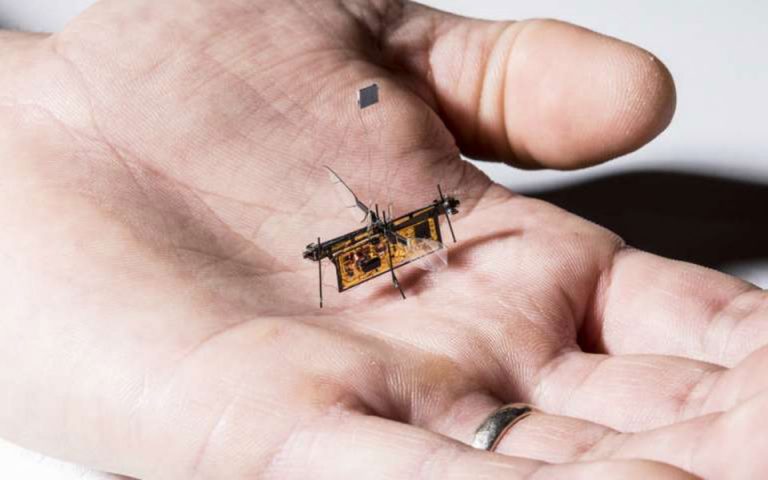 «Παρθενική» πτήση για το πρώτο ρομποτικό… έντομο (Βίντεο)