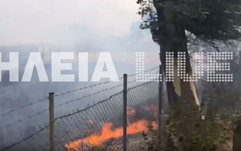 Φωτιά κοντά σε οικισμό στον Πύργο (Βίντεο)