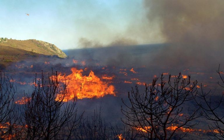 Πυρκαγιά σε δασική έκταση στην περιοχή Ράχες του δήμου Γορτυνίας Αρκαδίας