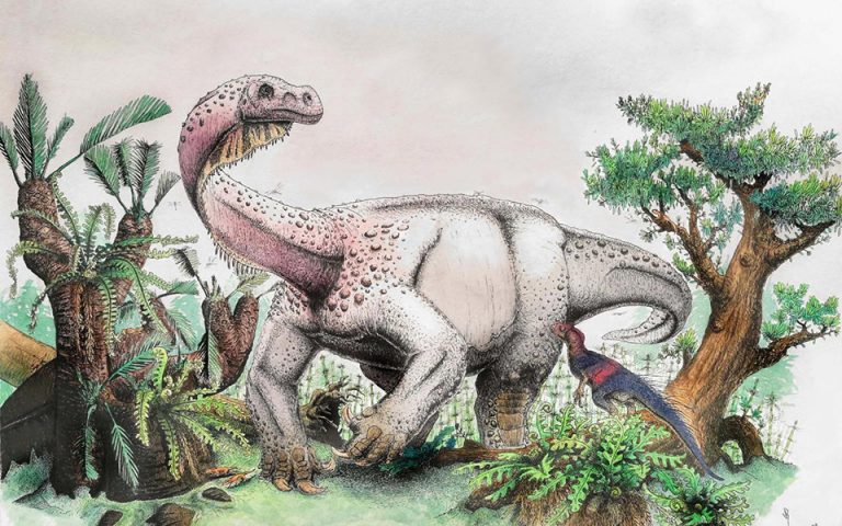 Νέος τεράστιος δεινόσαυρος ανακαλύφθηκε στη Νότια Αφρική