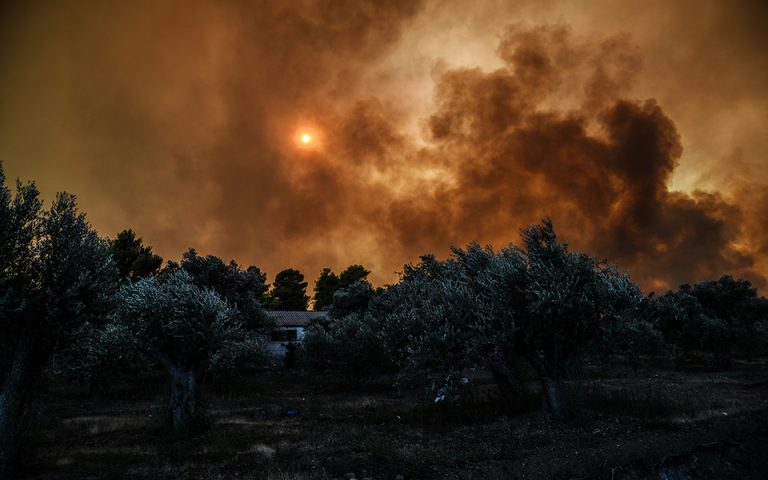 Ολονύχτια μάχη με τις φλόγες σε Μαραθώνα, Κεφαλονιά και Αχαΐα (φωτογραφίες – βίντεο)