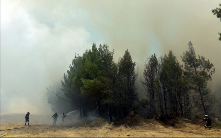 Πολύ υψηλός κίνδυνος πυρκαγιάς την Τετάρτη σε πέντε περιφέρειες της χώρας