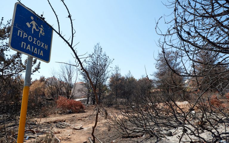 Μελέτη αναδεικνύει τις προκλήσεις στην αντιμετώπιση των δασικών πυρκαγιών στην Ελλάδα