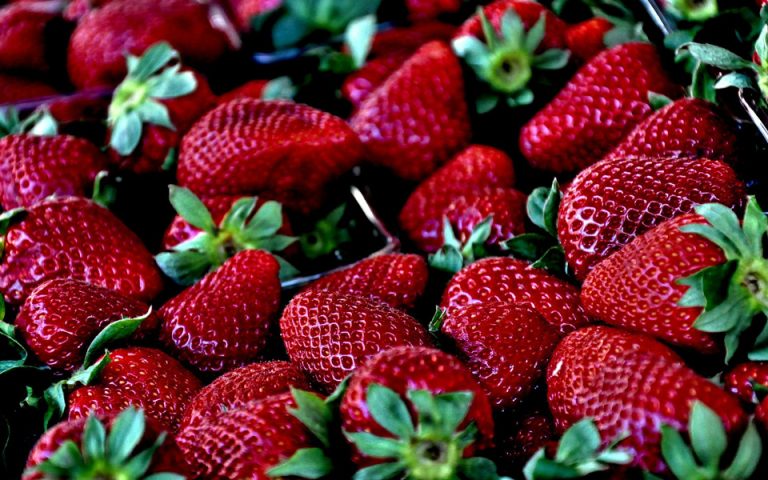 Αυστραλία: Στα 15 έτη αυξάνεται η κάθειρξη των ιθυνόντων για τις βελόνες σε φράουλες – Ερευνες για πάνω από 100 περιστατικά