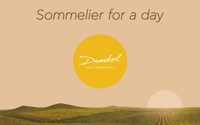Sommelier for a day