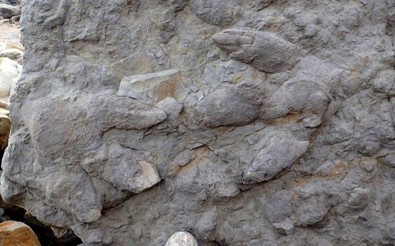 Βρετανία: Η κακοκαιρία αποκάλυψε πατημασιές δεινοσαύρων 100 εκατομμυρίων ετών