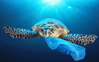 Λόγω του αργού ρυθμού αποσύνθεσής τους, τα πλαστικά συγκεντρώνονται στις θάλασσες, τους ωκεανούς και τις ακτές (Φωτογραφία: AP Images/European Union-EP)