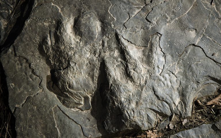Αποτυπώματα δεινοσαύρων σε Εθνικό Πάρκο της Πενσυλβάνια