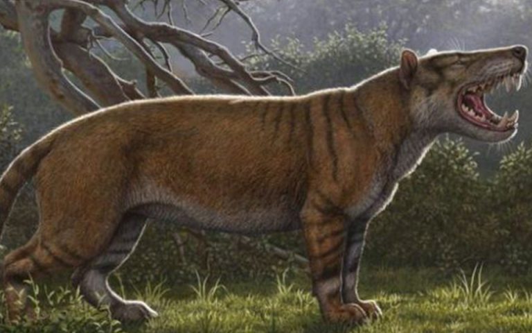 Κένυα: Επιστήμονες ανακάλυψαν το προϊστορικό γιγαντιαίο «μεγάλο αφρικανικό λιοντάρι»