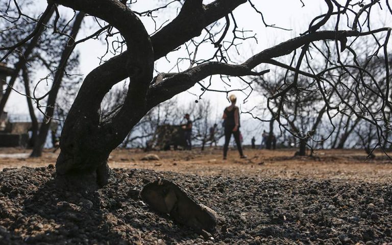 Η ξηρασία απειλεί μέρος της Ευρώπης