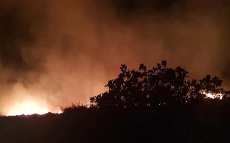 Ολονύχτια μάχη με τις φλόγες στην Κάρυστο – Υπό έλεγχο η πυρκαγιά