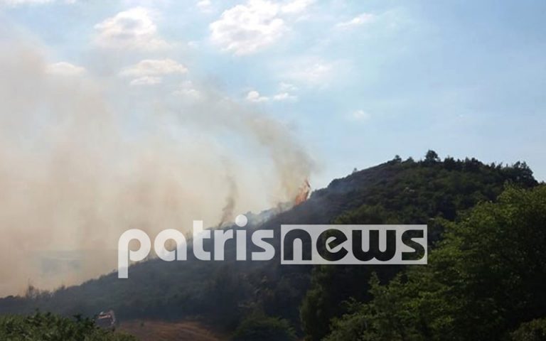 Φωτιά καίει δάσος στο Μαζαράκι Πηνείας της Ηλείας (φωτογραφίες)