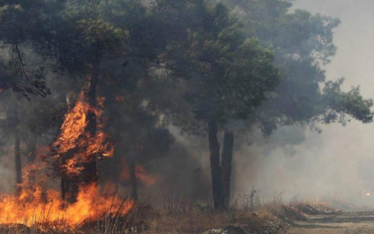 Μαίνεται η φωτιά σε δασική έκταση στη Δυτική Αχαΐα – Ισχυροί άνεμοι δυσχεραίνουν το έργο της Πυροσβεστικής