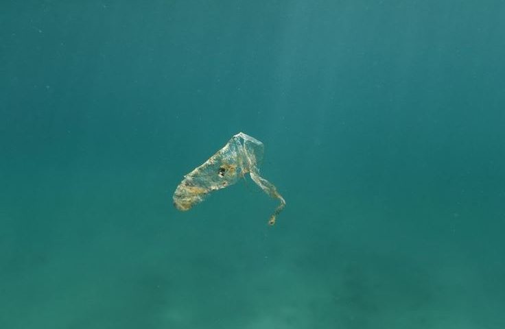 WWF: Σε επίπεδα ρεκόρ η πλαστική ρύπανση στη Μεσόγειο