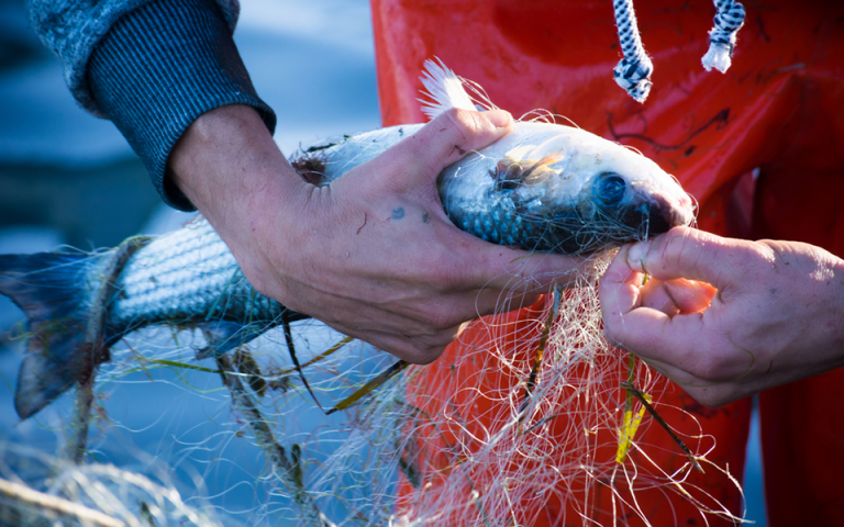 Οι ψαράδες στην Ιταλία ανακυκλώνουν τα πλαστικά της θάλασσας