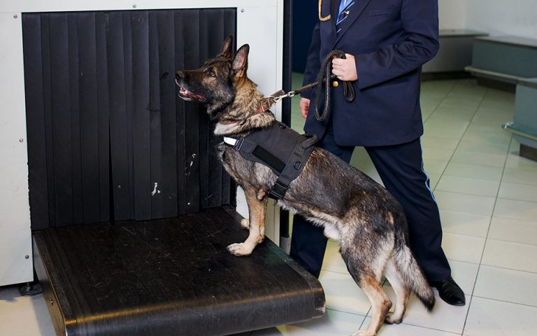 Αστυνομικά σκυλιά