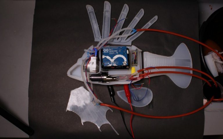Το πρώτο ρομποτικό ψάρι που κινείται με συνθετικό αίμα (βίντεο)