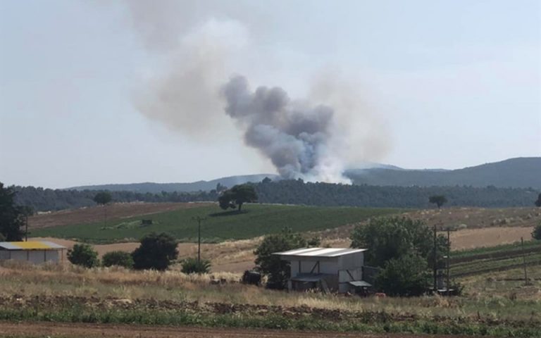 Φωτιά στην Εύβοια: Ενισχύονται οι δυνάμεις – Εκκενώθηκε οικισμός (Φωτογραφίες)