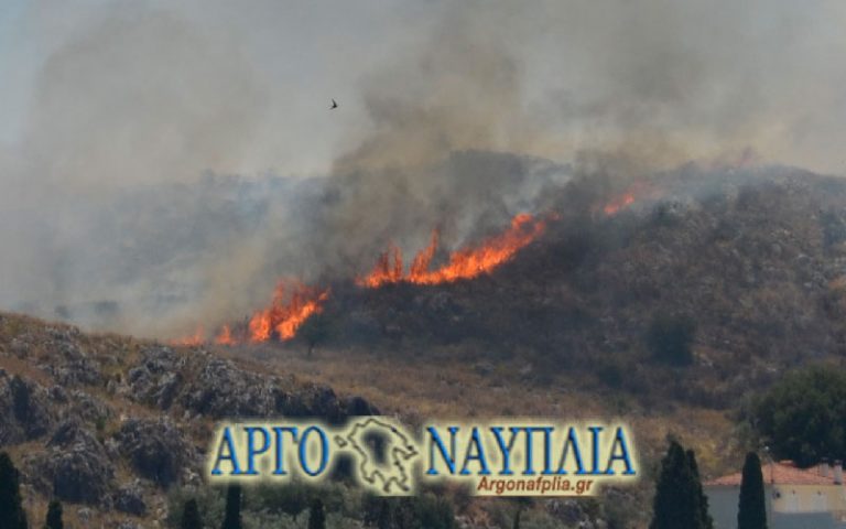 Υπό μερικό έλεγχο η πυρκαγιά στο Ναύπλιο (φωτογραφίες – βίντεο)