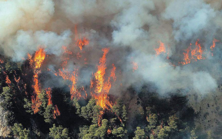 Από το πρωί έχουν εκδηλωθεί 24 δασικές πυρκαγιές σε όλη τη χώρα
