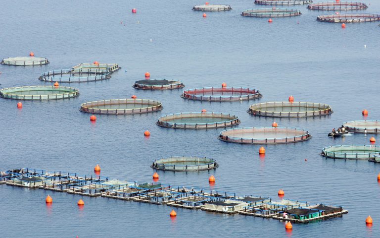 Μεταποίηση προϊόντων αλιείας και υδατοκαλλιέργειας