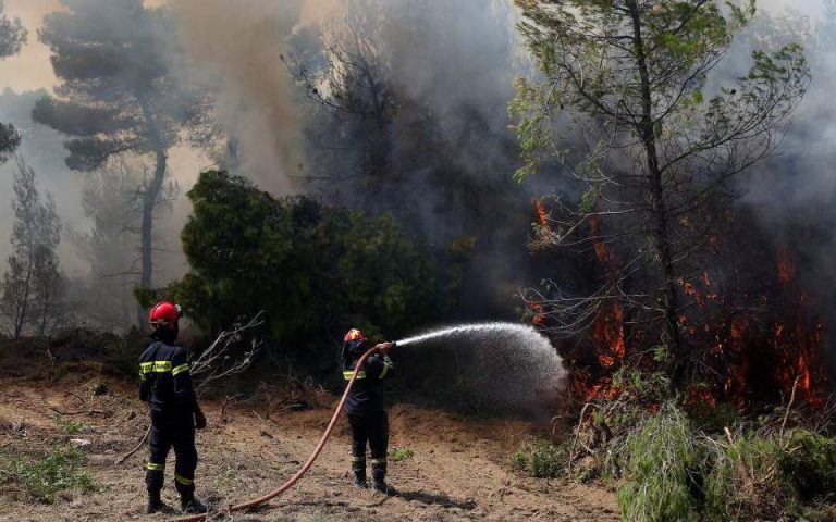 Πυρκαγιά σε δασική έκταση στην Κεφαλονιά