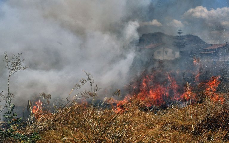 Φωτιά καίει δάσος στην Ανατολική Μάνη