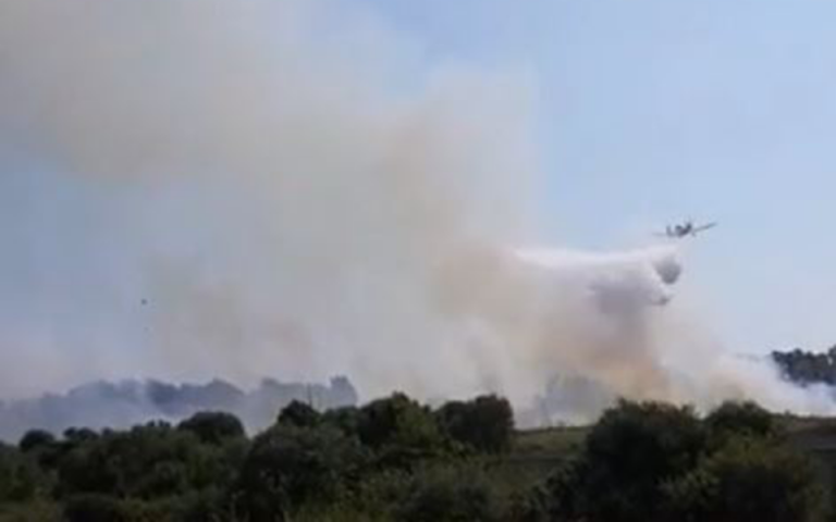 Πυρκαγιά στη Βιομηχανική Περιοχή Πρέβεζας (βίντεο και φωτογραφίες)