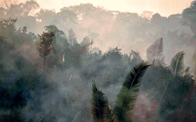 Αμαζόνιος: Eπτά χώρες της Αμαζονίας υπέγραψαν σύμφωνο για την προστασία του τροπικού δάσους