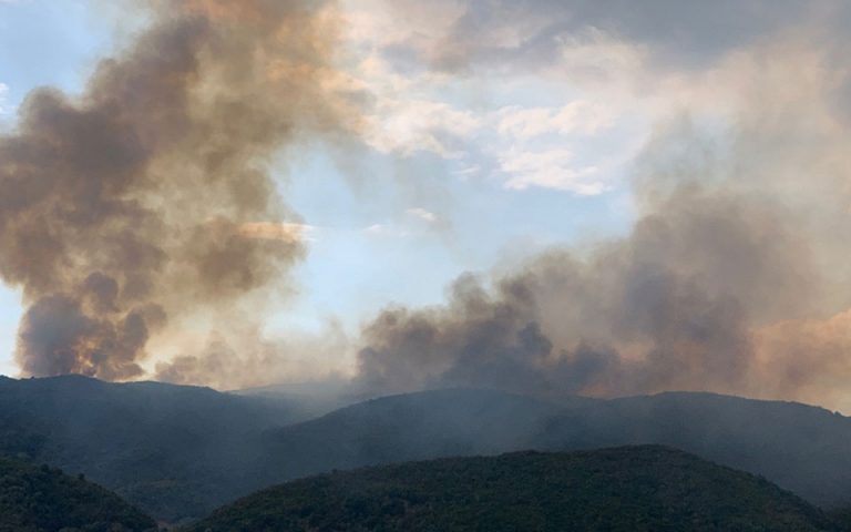 Μεγάλη φωτιά σε δασική έκταση στο Αγρίνιο (φωτογραφίες – βίντεο)